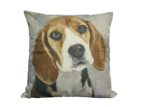 Beagle kissen 45x45cm nur - kissen,